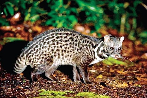 For representational purposes