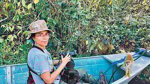 For new feathers in the hat