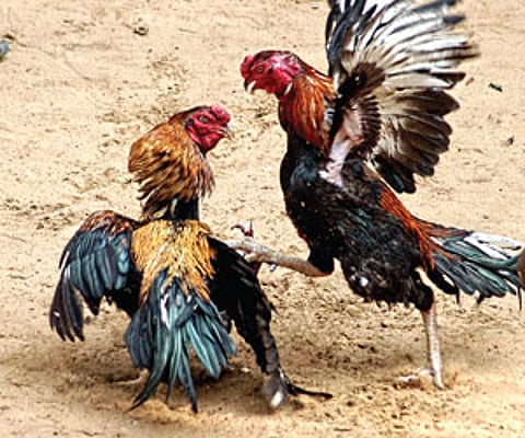 Image used for representation.