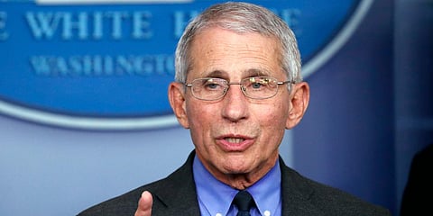 National Institute of Allergy and Infectious Diseases director Dr Anthony Fauci. (File photo|AP)
