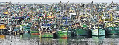 With no one venturing out to the sea for fishing, mechanised fishing boats are anchored at Kasimedu Fishing Harbour in Chennai | P Jawahar