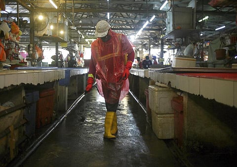 A worker sprays disinfectant at a wet market closed during the restricted movement order due to the outbreak of the coronavirus disease (COVID-19) outside of Kuala Lumpur, Malaysia, on Wednesday, March 25, 2020. (Photo | AP)