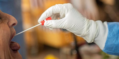 Coronavirus detection test. (Photo | AP)