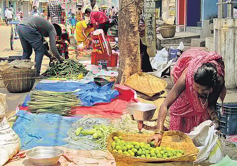 The survey of street vendors in BBMP limits is to end on December 20