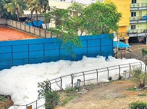 Kaggadasapura lake frothing after heavy rains in Bengaluru on Wednesday | Express