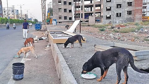 Picture for representation