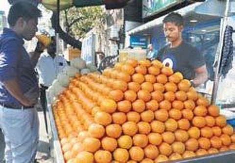 We love citrusY, green flavours, thanks to Covid-19