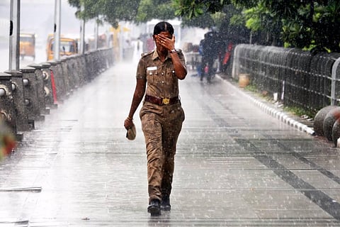 Image for representational purpose only (File photo | EPS)