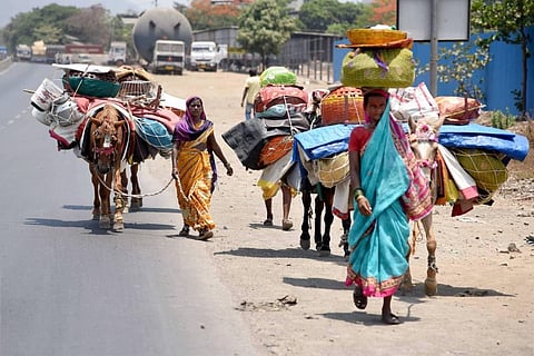Migrants from Jejuri with their belongings loaded on horses walk along a road to reach their native place at Panvel during a nationwide lockdown in the wake of coronavirus pandemic in Navi Mumbai. (Photo | PTI)