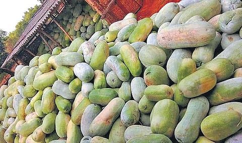 Turning gourd into sweet returns