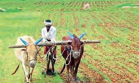 Farmers in Telangana.
