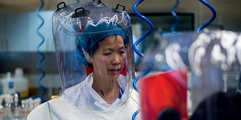 Chinese virologist Shi Zhengli inside the P4 laboratory in Wuhan, China. (File photo| AFP)