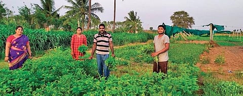 Two students help their parents at an agricultural field in Kandukur village in Khammam district on Friday
