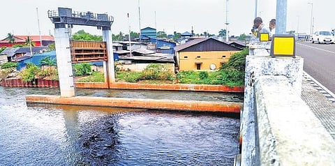 File picture of polluted water gushing into the lower reaches of the river when the shutters were opened at Eloor a month ago ,A Sanesh