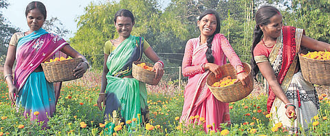 Around 2.3 lakh Sakhi Mandals consisting of over 29 lakh women are playing a key role in the makeover of the rural landscape of the state | express