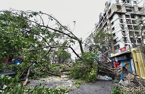 Branches of an uprooted tree hang close to a road in the aftermath of super cyclone Amphan in Kolkata Sunday May 24 2020. (Photo | PTI)