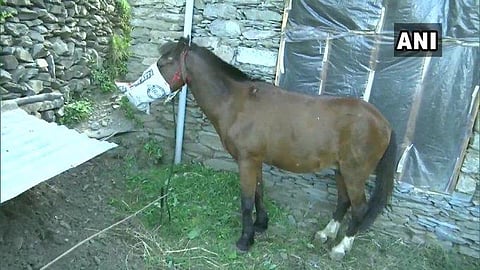 Rajouri had recorded a total of 13 coronavirus cases till Tuesday evening. (Photo | ANI)