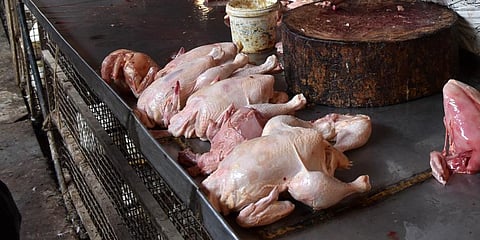 Residents and devotees noticed meat in front of Venugopal Swamy and Sri Raghavendra temples situated on Sullivan street in Coimbatore. (File Photo | EPS)