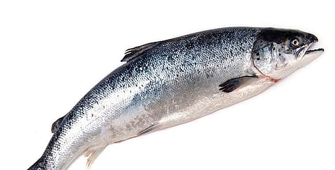 Representational image