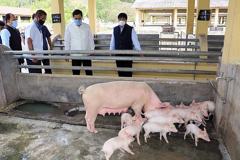 Assam Chief Minister Sarbananda Sonowal (centre) and Veterinary and Animal Husbandry Minister Atul Bora (right) at National Research Centre on Pig at Rani on the outskirts of Guwahati on Monday.