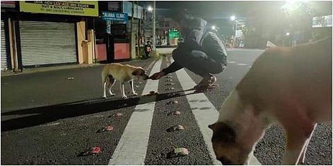 Arjun feeding stray dogs. (Facebook Photo)