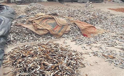 Image used for representation