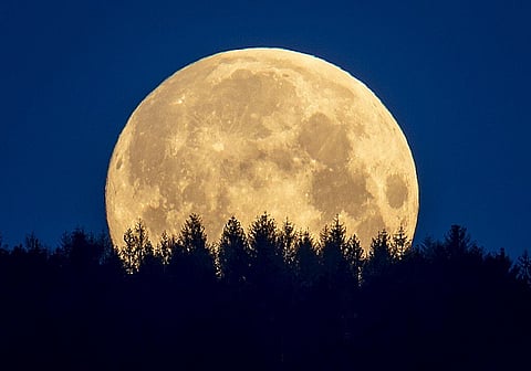 The full moon sets behind trees in the Taunus region near Frankfurt. (Photo | AP)
