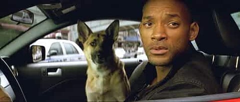A still from 'I am Legend'. (Photo| IMDb)