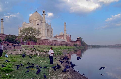 A man feeds birds on the banks of River Yamuna during a nationwide lockdown to curb the spread of coronavirus near the historic Taj Mahal in Agra. (File Photo | PTI)