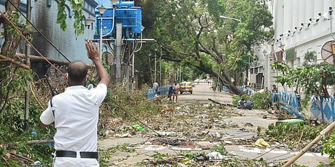 Police personnel instruct labourers to remove uprooted trees from the road after the passage of Amphan, at College Street book market in Kolkata. (File photo| ANI)