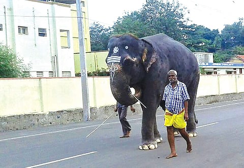 Representational image | Express