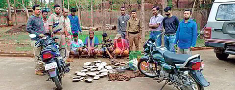 Acting on a tip-off, a team of Motu Forest Range officials rushed to the villages and arrested the smugglers who were selling the turtles in the local market at Rs 500 per kg, said Forest Ranger Balaram Nayak.