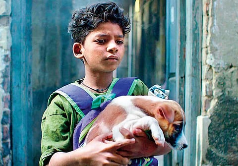 A still from 'Chippa'