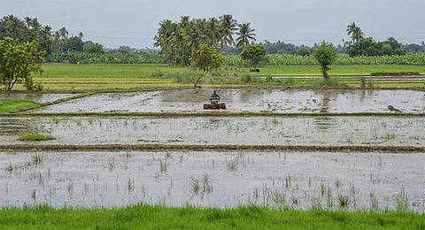 Representational image. (Photo | EPS)