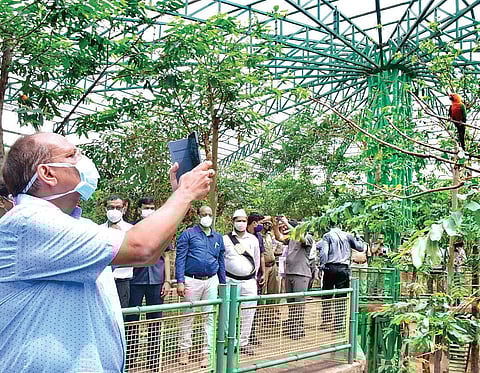 CS Somesh Kumar at the Kandlakoya Oxygen Park in Secunderabad on Saturday