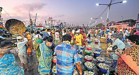 A recent photograph of crowds thronging the Kasimedu harbour despite fears of spread of Covid-19. (Photo | Shiba Prasad Sahu, EPS)