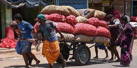 Hundreds of vehicles carrying the farm products from different State and districts come into Madurai on a daily basis. (Photo | EPS)