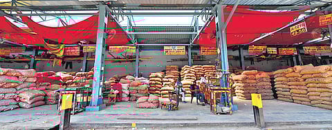 A deserted view of the Azadpur mandi during the nationwide lockdown in wake of coronavirus pandemic. (File | EPS)