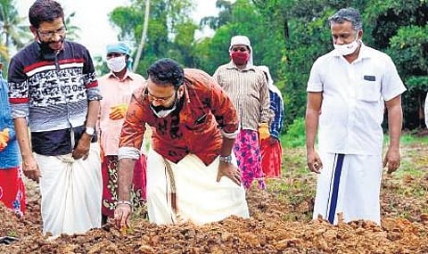 Tini Tom inaugurating the farming venture by Prasad at Karrakullathu