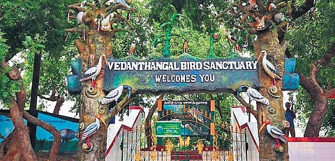 A recent proposal to declare the outer two kilometres of the Vedanthangal bird sanctuary as Eco Sensitive Zone had drawn flak | file photo