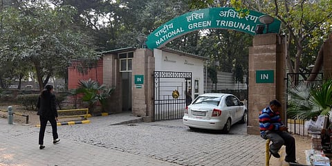 National Green Tribunal (Photo | EPS)