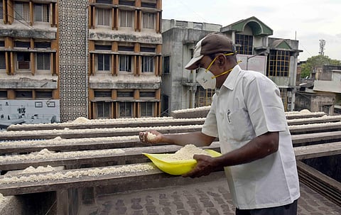 Chennai's birdman Joseph Sekar . (Photo | Martin Louis, EPS)