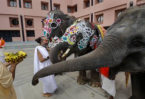 Head priest of Lord Jagannath Temple Dilipdas ji Maharaj offers prayers near the three caparisoned elephants on the eve of the annual Rath Yatra or chariot procession in Ahmedabad Monday June 22 2020. (Photo | PTI)