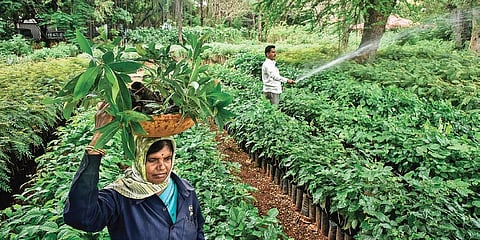 Workers at Indira Park in Hyderabad. (File photo| Vinay Madapu, EPS)