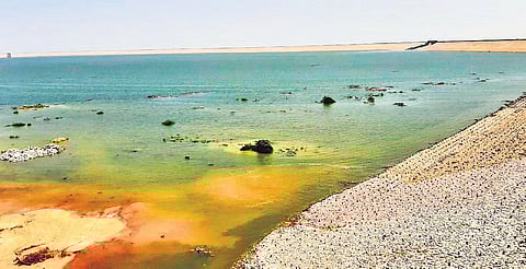 Kondapochamma reservoir in Siddipet district brims with Godavari water