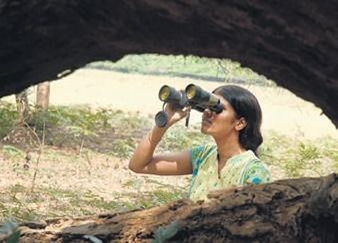 image for representative purpose