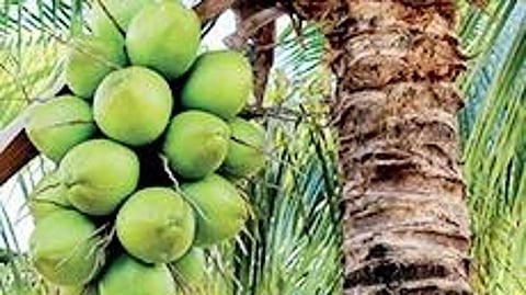 Image used for representational purposes only