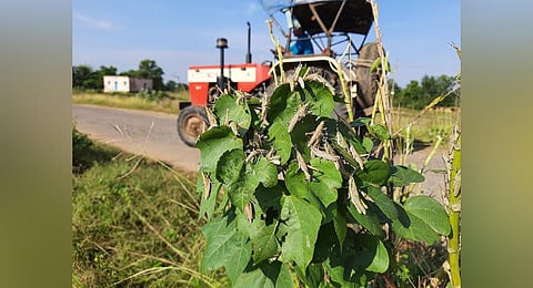 For representational purposes (Photo | EPS)