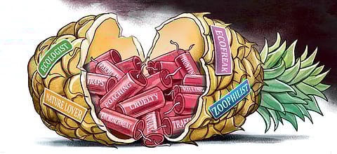 An elephant-sized tragedy in God’s own Country