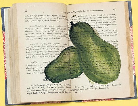 One from the treasure was the three-volumed Samaithu Paar.